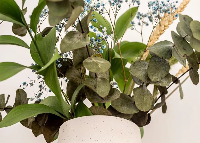 Apartamento A Estrenar 3 Hab Apartment A Coruna